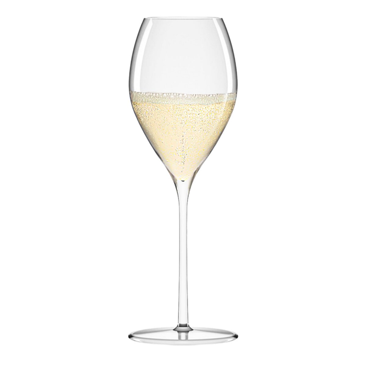 Tulip Champagne Glass 14 ¼ oz