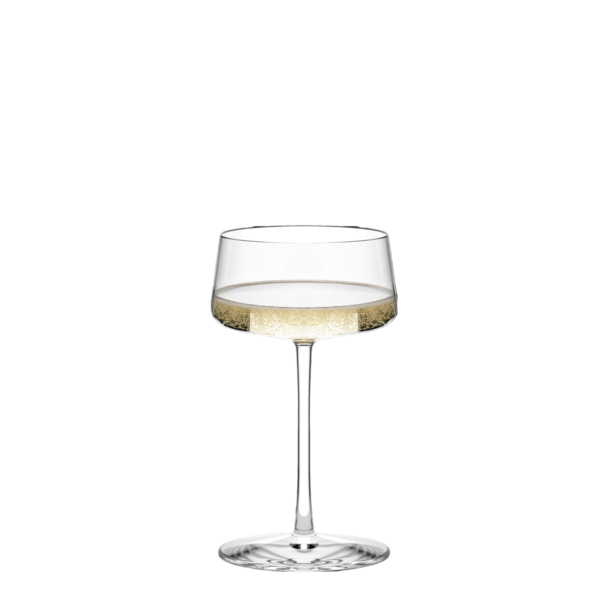 Refined Champagne Glass 10¾ oz